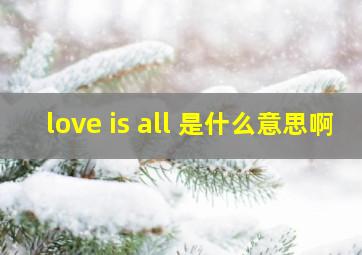 love is all 是什么意思啊